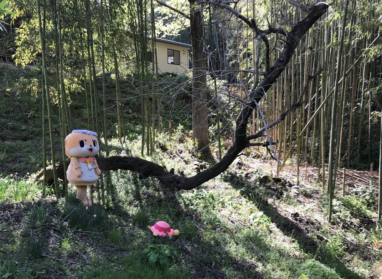 パーティー(結婚式)のアイデア考えます オンリーワンのパーティーのプロデュース結婚式など イメージ1