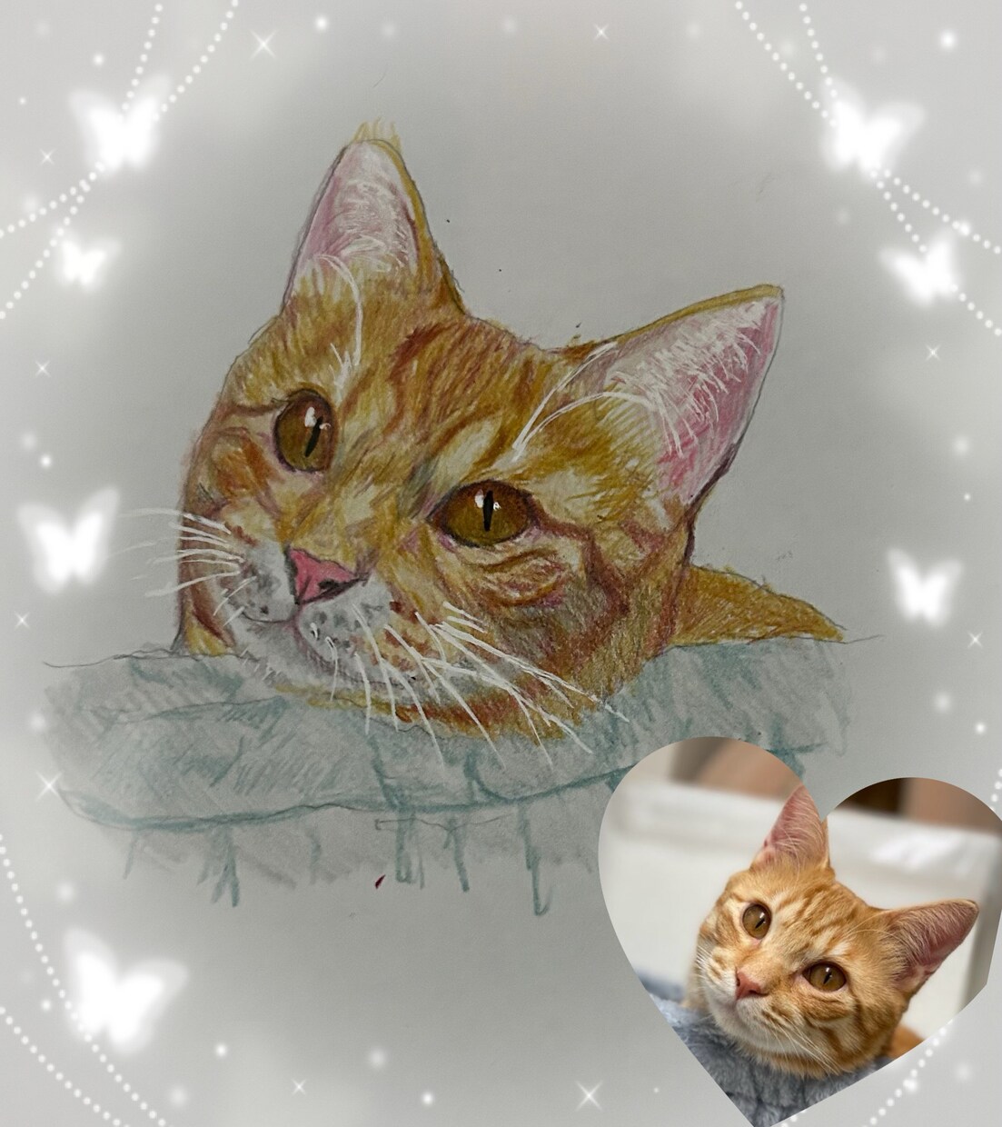 お家の猫ちゃんの似顔絵描きます 色鉛筆で丁寧に仕上げます！！お顔中心に描かせて戴きます。 イメージ4