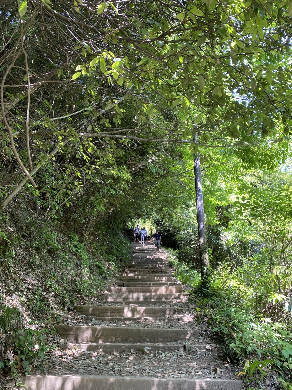 お試し価格　8月末まで写真の加工や修正などをします AI機能を使った写真加工・修正します！！ イメージ1