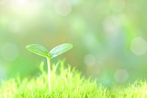 ただ誰かに聞いて欲しい！あなたのお話聞きます 男性/女性/悩み/相談/雑談/愚痴/介護問題/副業/転職 イメージ4