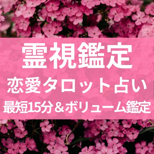 霊視タロットで不安を解消し、恋愛特別鑑定します お相手の名前や生年月日がわからなくても鑑定できます♡♡ イメージ1