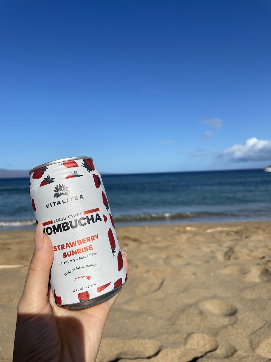 アメリカロサンゼルス近辺への移住のご相談を承ります アメリカでの生活サポート！とくにロサンゼルス近辺 イメージ1