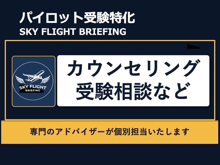 パイロット受験カウンセリング: 対策をご提案します 航空業界✕大手日系出身のプロがあなたの経験と資質をマッピング イメージ1