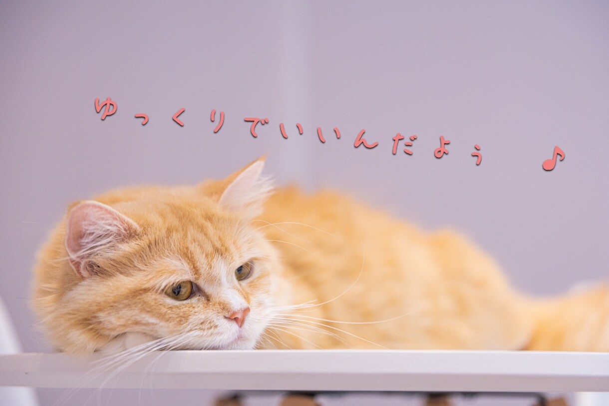 ただただリラックスして癒されたい方お話聴きます 世間話、スッキリ、趣味、傾聴、人間関係、癒しの時間が欲しい方 イメージ5