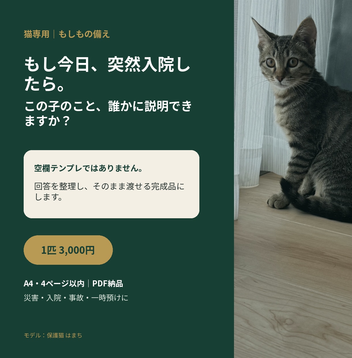 もしもの時に猫を託せる緊急引継ぎシートを作ります 災害・入院時にそのまま渡せる「うちの子取扱説明書」 イメージ1