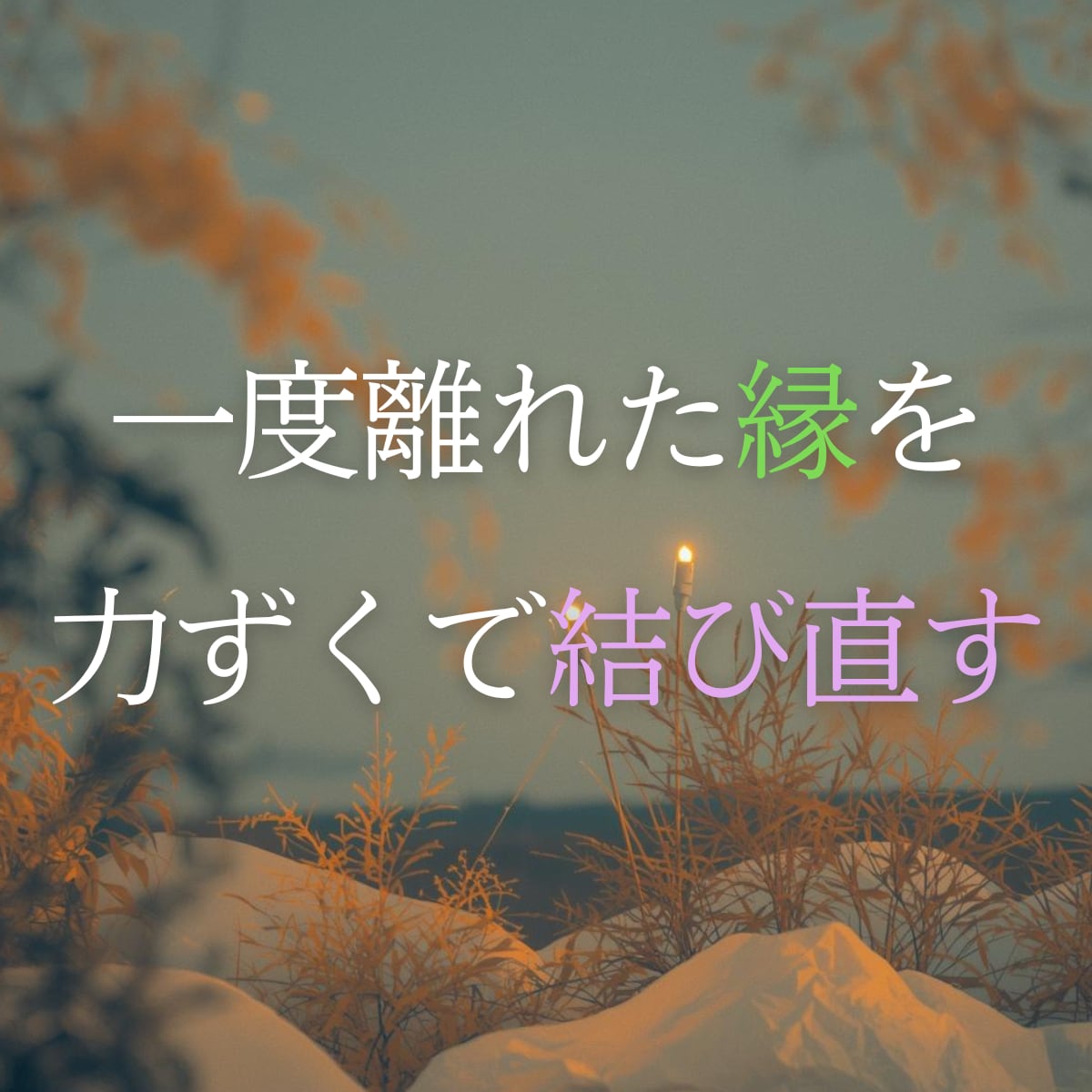 一度離れた縁を力ずくで結び直します あんたが「あの人」と生き直すための、唯一の道筋。 イメージ1