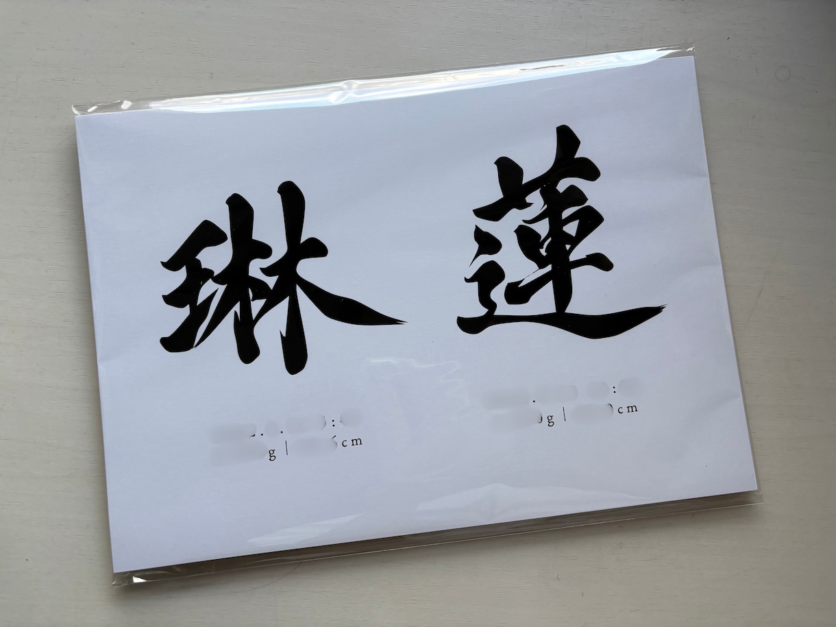 兄弟、姉妹連名デザインの筆文字命名書を制作します 上質マット紙　A4サイズ｜シンプル　書道　お七夜　出産祝い イメージ4