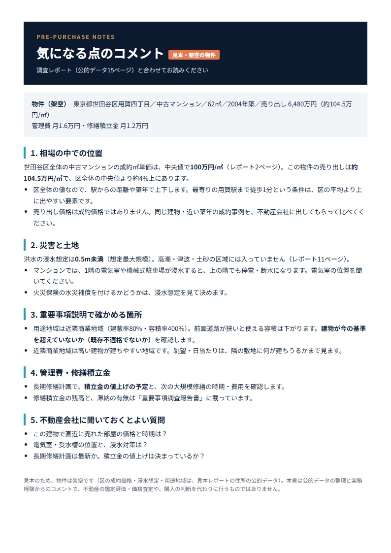 その物件買って大丈夫？実務者が書面で診断します 公的データ15ページ＋気になる点のコメント付き イメージ2