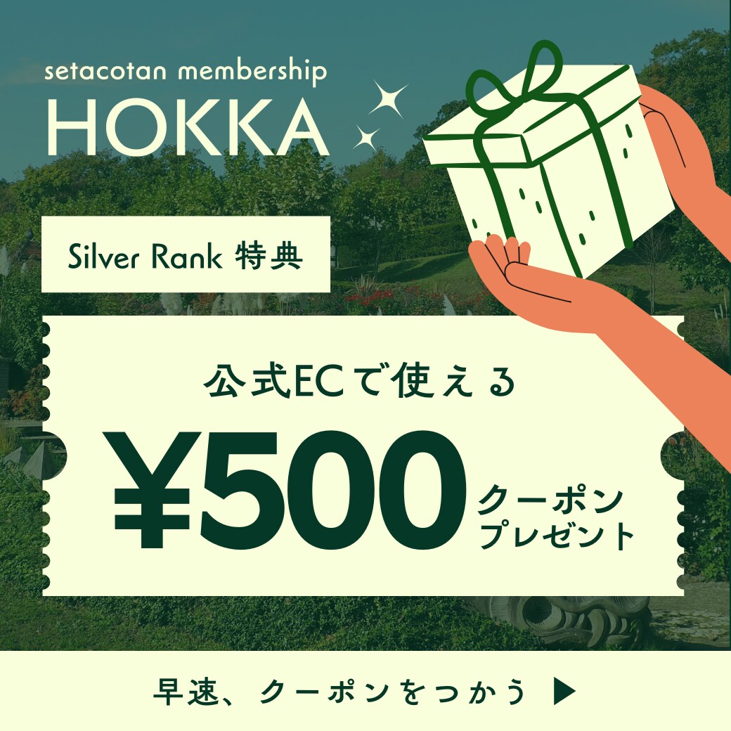 おしゃれで見やすく、「売れる」チラシ作ります 商品の魅力を引き出します＜カフェ・サロン・個人店さま歓迎＞ イメージ5