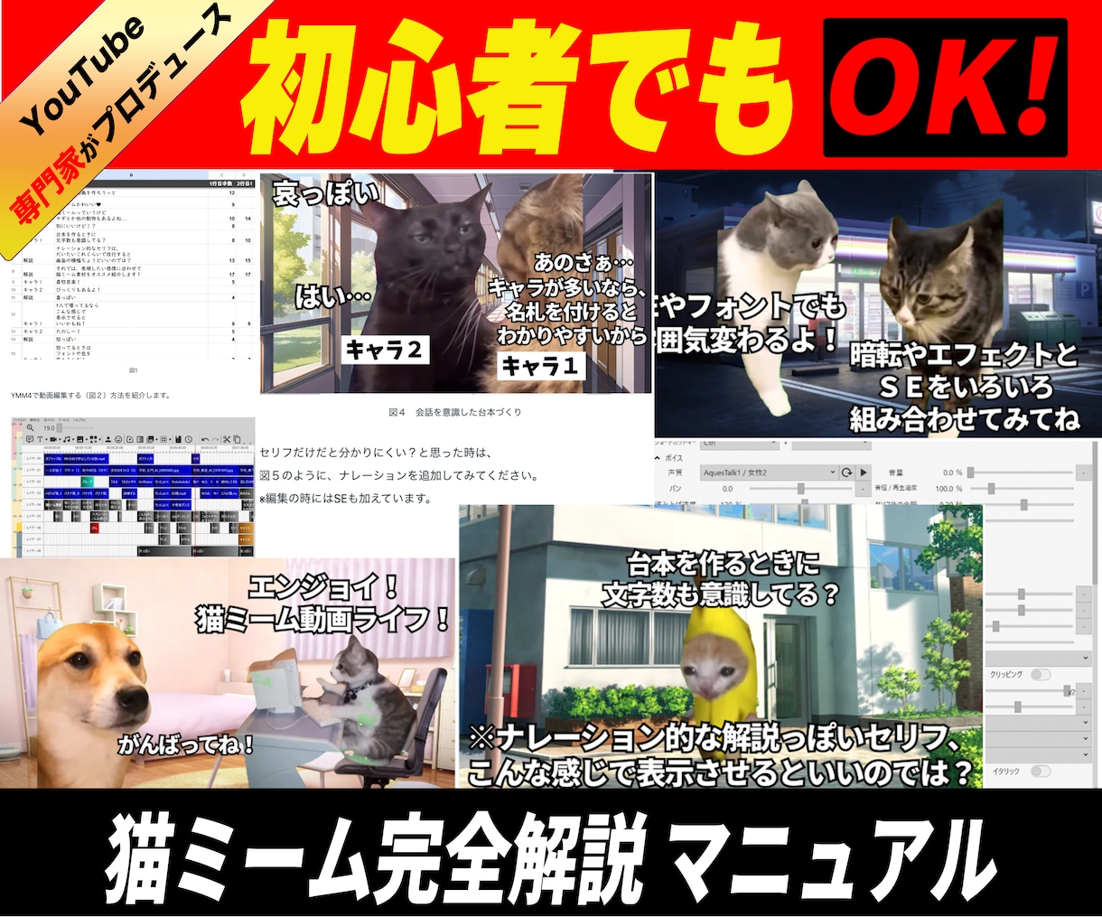 その日から作業できる猫ミームマニュアルお渡しします 台本〜動画編集、ミームの使い方も完全網羅 イメージ1