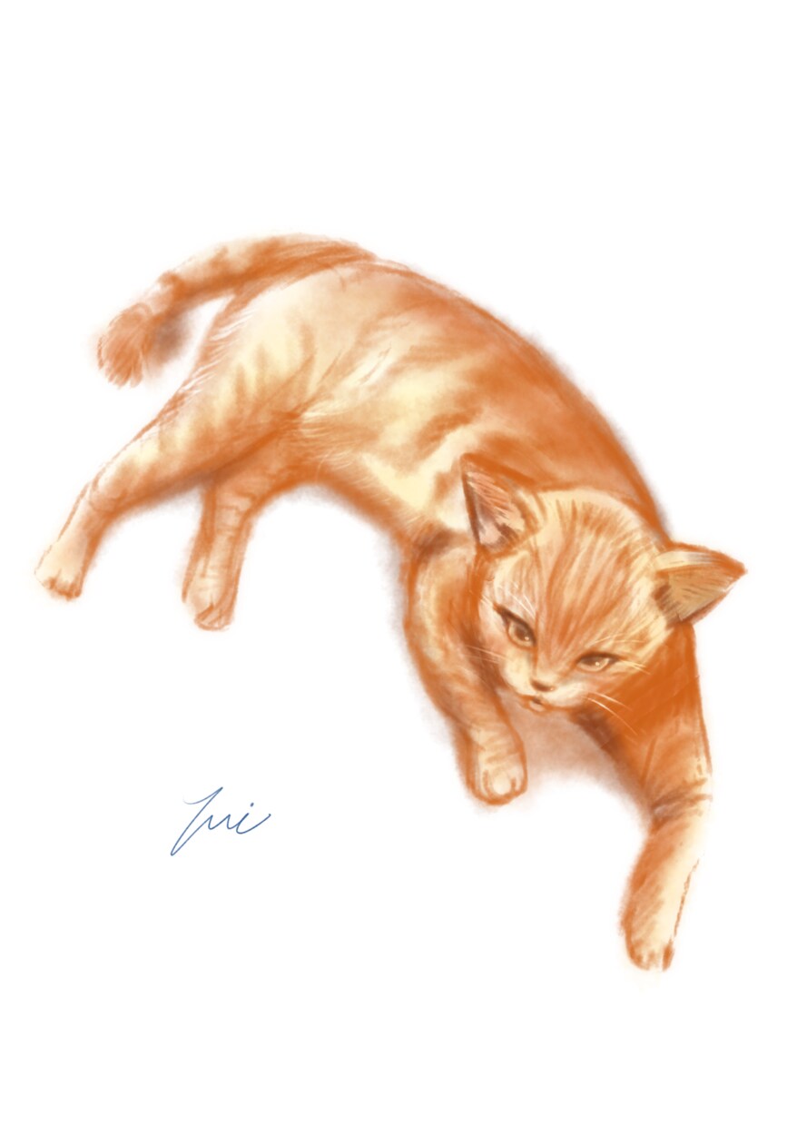 水彩風イラストやマスコット風イラストが描けます あなたの大切な家族や好きな動物をふんわりイラスト化！ イメージ6