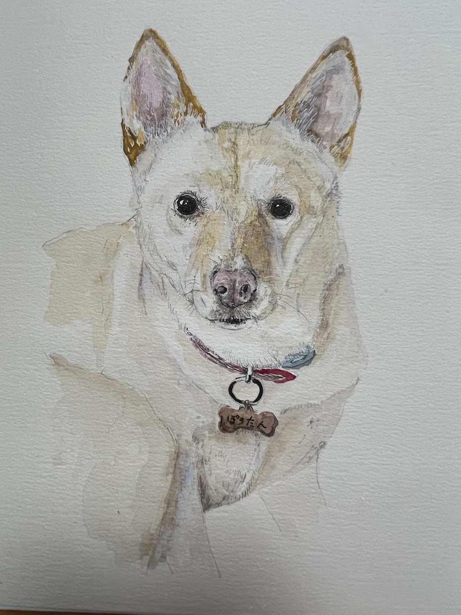 犬や猫の絵を描きます 画像からえんぴつや顔彩で絵を描きます。 イメージ3