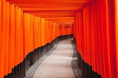 京都のインスタ映えする名所、料理、雅所案内します 桜の隠れた名所、隠れた名店、隠れた雅風景、そんな場所に行こう イメージ1