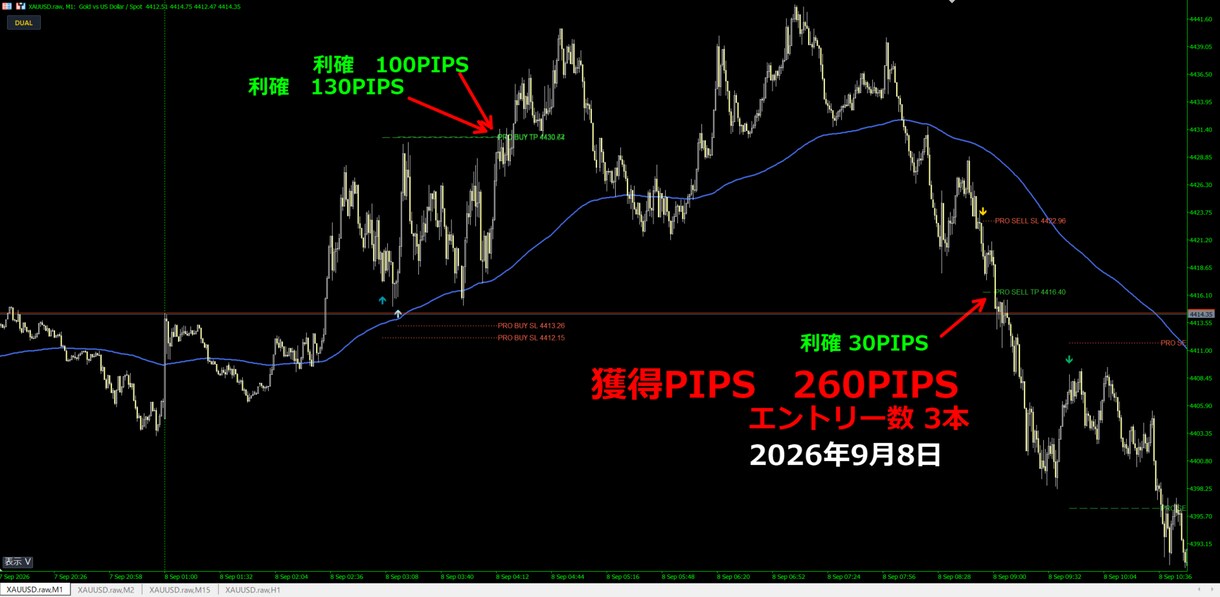 FX　GOLD特化型サインインジケーターとなります GOLD専用｜M1〜M30対応  GLL_Arrow イメージ7