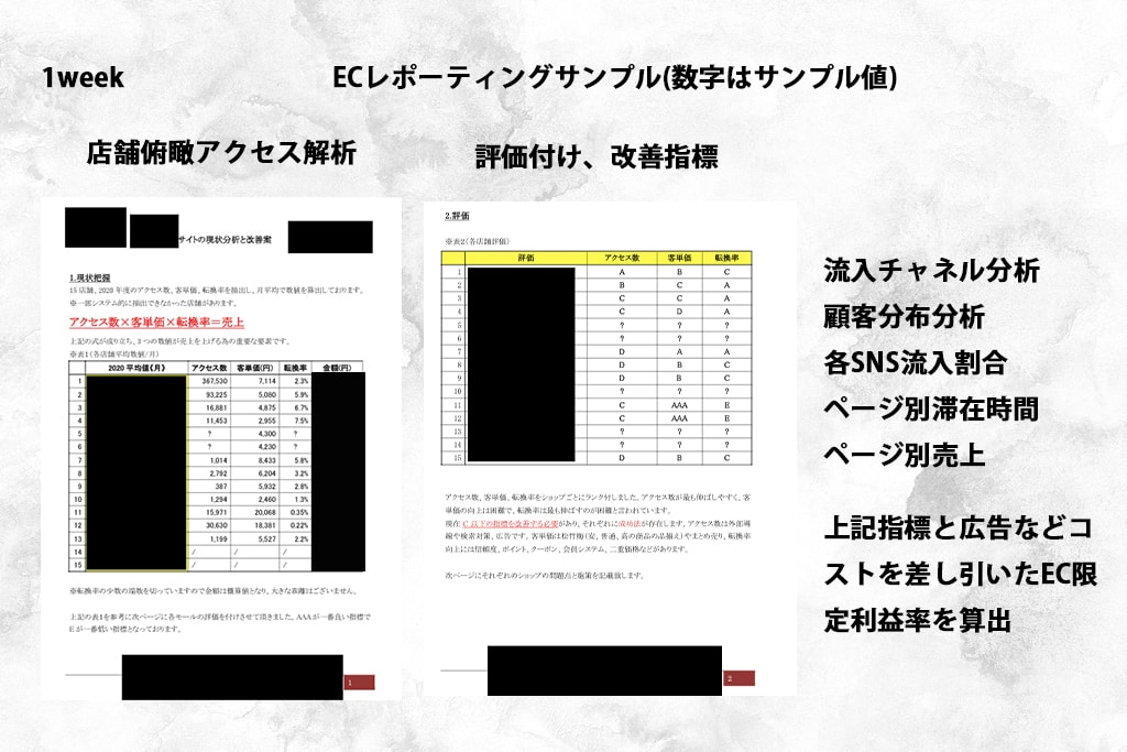 EC店舗アクセス解析レポートの作成を致します アクセス解析 楽天 ヤフー Shopify など イメージ1