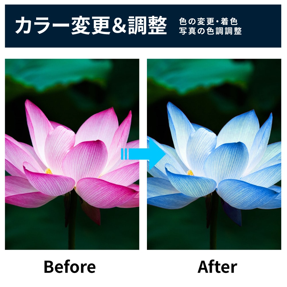 画像の白抜き、背景透過、カラー修正などを対応します 現役WEBデザイナーが対応！Photoshopでの画像加工 イメージ3