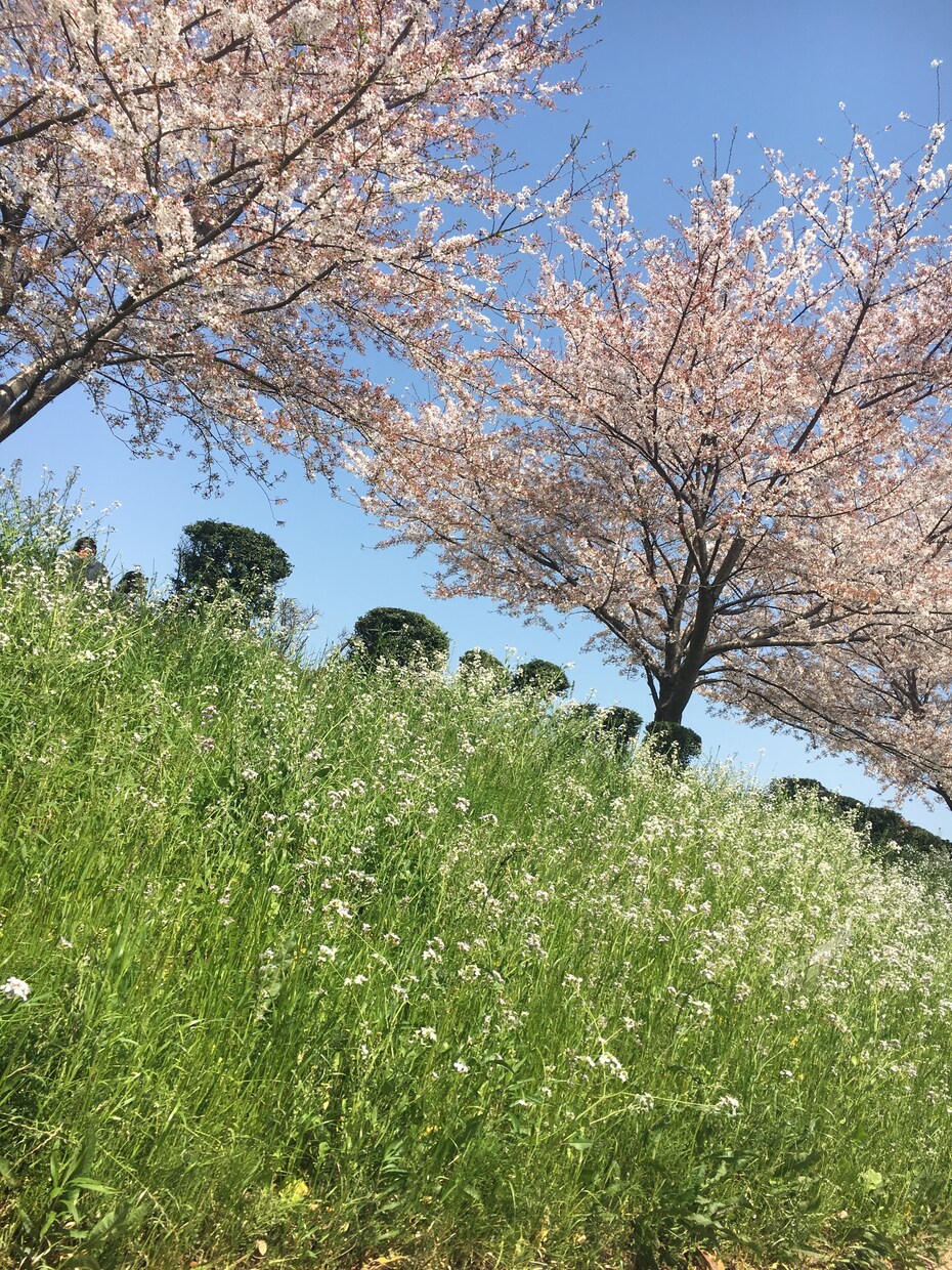 現役保育士が、何でも相談のります 現役保育士が、子育てや仕事・プライベートお悩み聞きます！ イメージ2