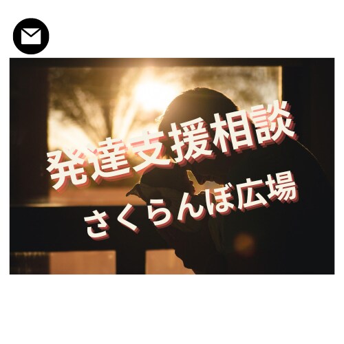 お子さんの発達に必要な対応を教えます 【発達支援相談室】療育の手法をご家庭でやってみたい方 イメージ1