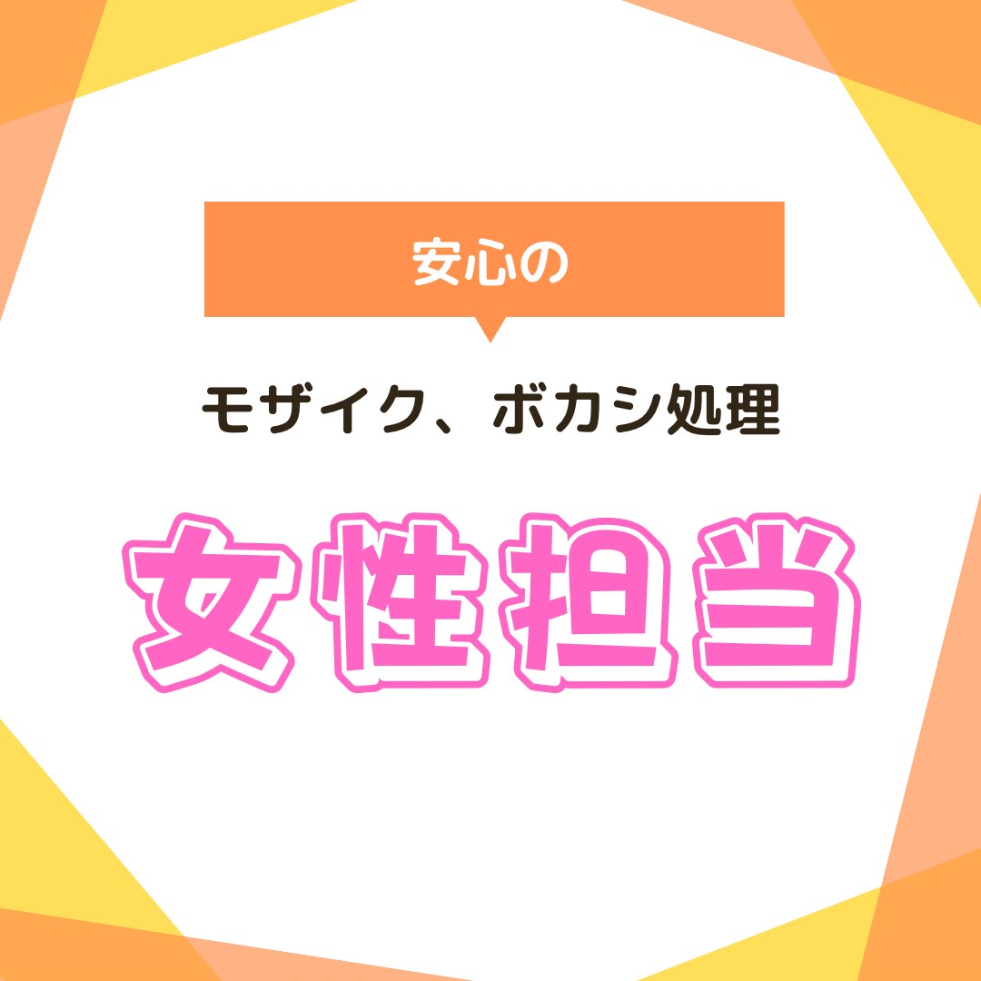 格安で女性にだけ頼みたいモザイクボカシ処理します 大事な部分や知られたくない部分の処理は女性へお願いしたい方 イメージ1
