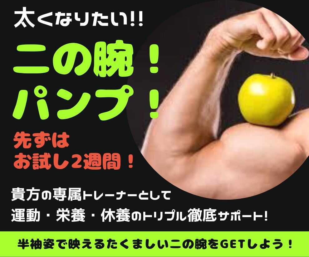 二の腕↑【先ずはお試し2週間】徹底サポート致します 半袖姿で映える、憧れのたくましい二の腕をGETしよう！ イメージ1