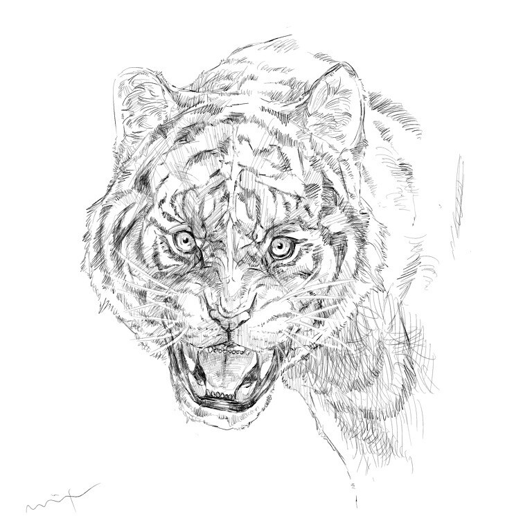 大事な家族であるペットのイラストを描きます ❇︎ペットの姿を残したい方、プレゼントを考えている方に❇︎ イメージ3