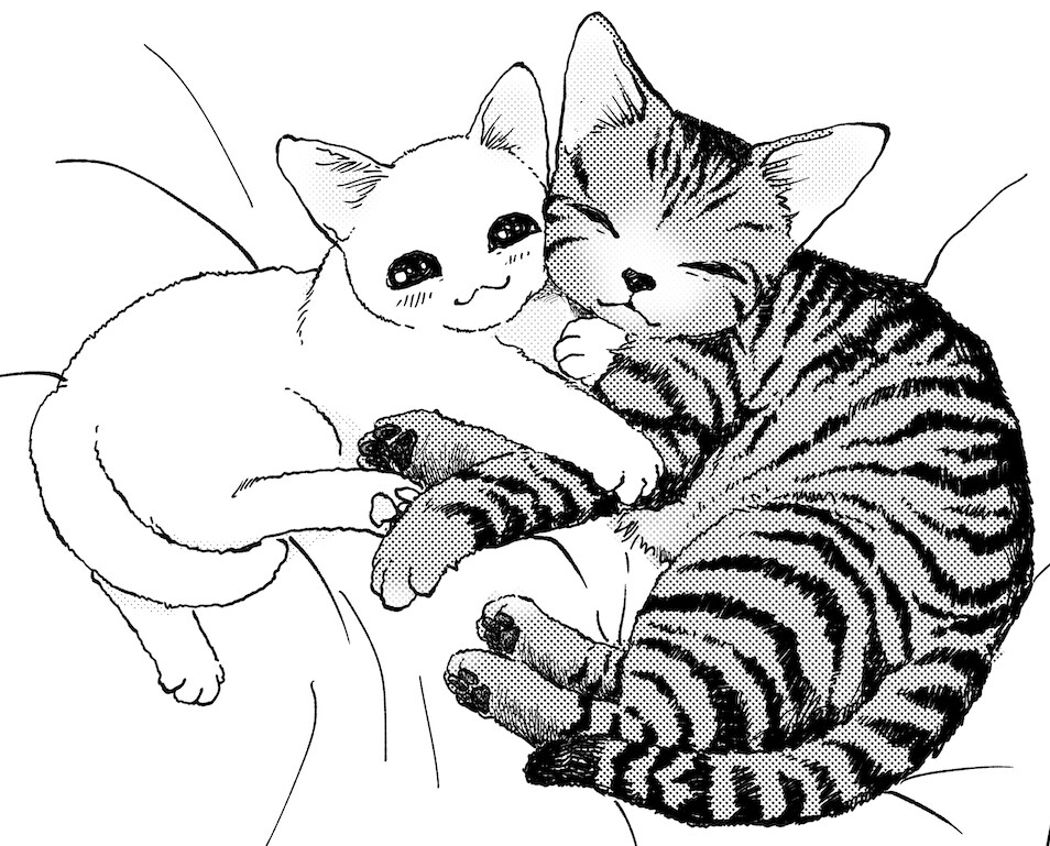 あなたの猫ちゃんを描きます 好きな猫、飼ってる猫、思い出の猫イラスト描きます！ イメージ9