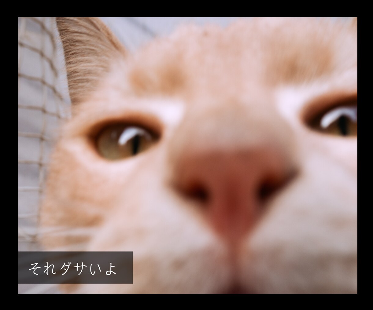 恋愛以外♦️サムネに顔出し動画あります ネガティブでもいいよ♦️あなたを軽くする♦️スピリチュアル イメージ3