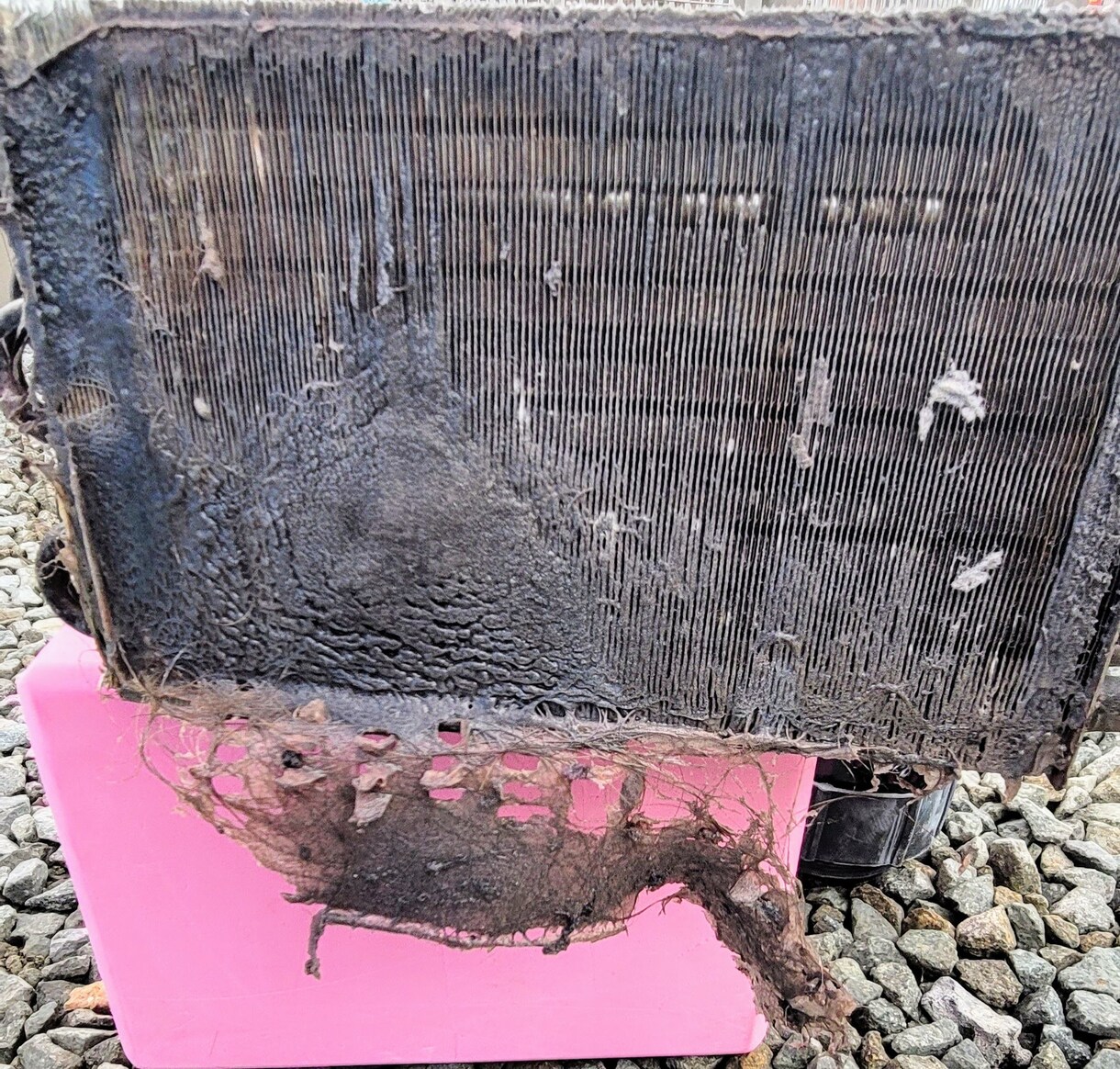 需要拡大中！洗濯機クリーニングプロの技術を教えます 身近な家電、洗濯機のプロになろう！ イメージ8