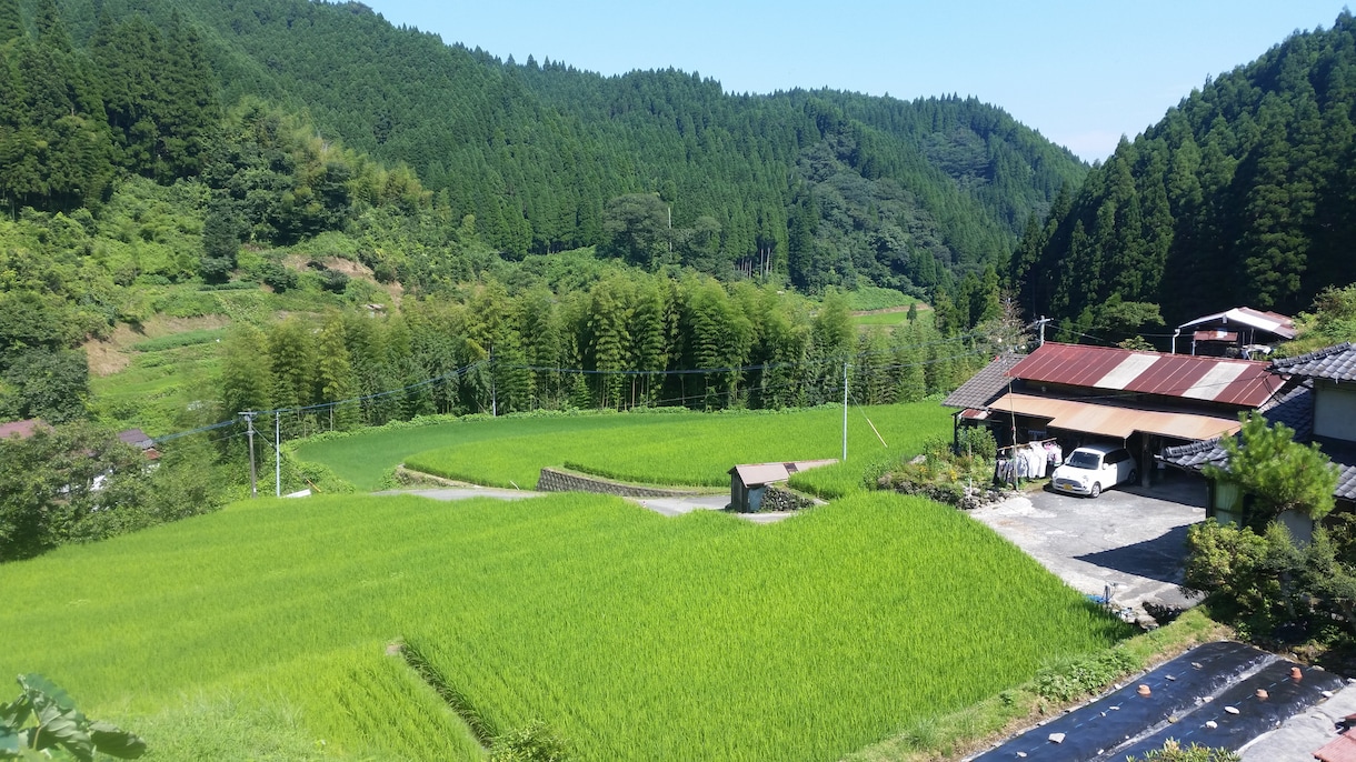 進学・就職・転職・うつ病・恋愛何でもお伺いします 秘密は厳守します。時間帯など融通ききますのでお願い致します。 イメージ8
