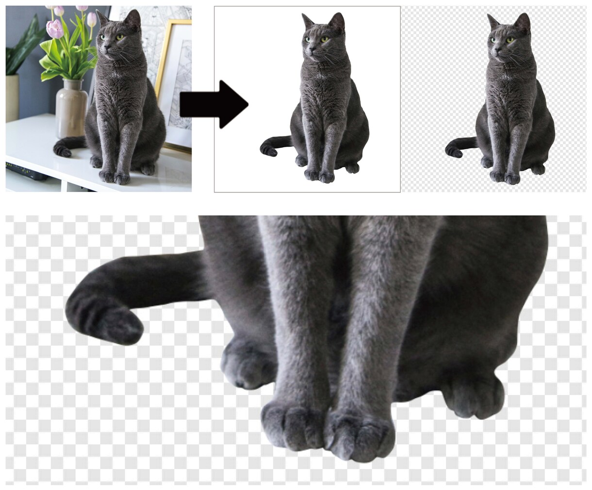 画像3枚（透過・白抜き2種類）切り抜きます 【ウェブ素材、動画サムネイル作成などに】 イメージ2