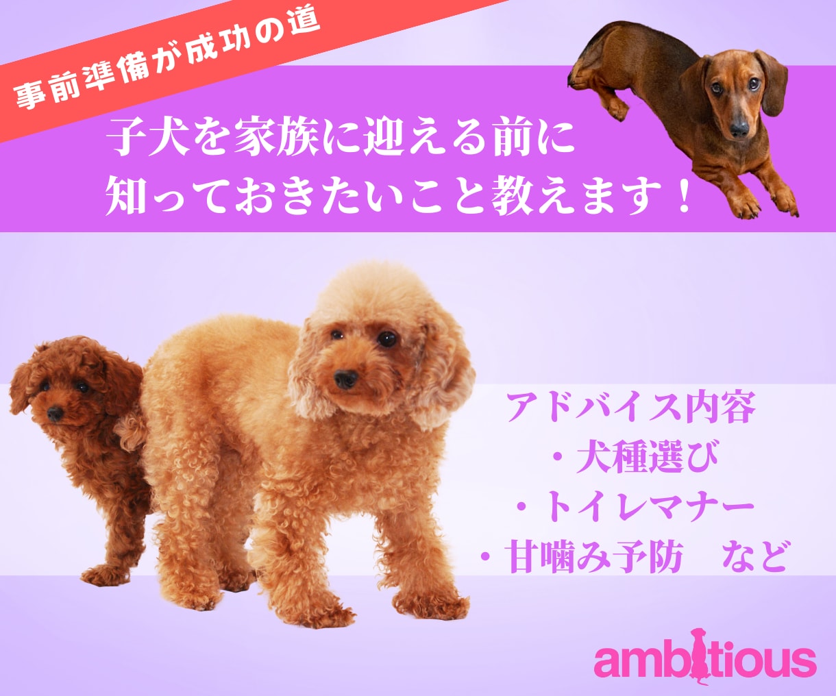 犬を飼う前に知るべきこと！注意点や心配を解決します ドッグトレーナーであり１００頭の繁殖経験で安心サポート イメージ1