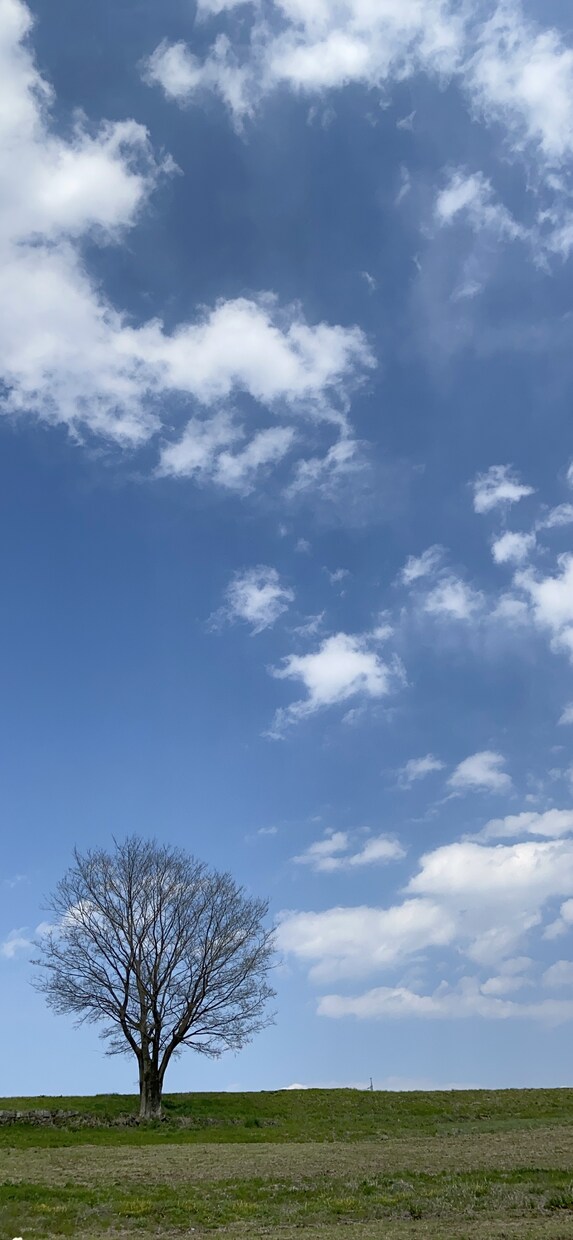 なんとなく誰かと話がしたい時に2日話聞きます 一人でいて不安、誰かと繋がっていたいと思う方へ イメージ1
