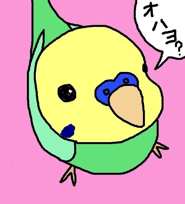 お喋りセキセイインコの育て方をアドバイス致します かわいがっている雛インコが「オハヨー」等お喋りしてくれたら… イメージ1