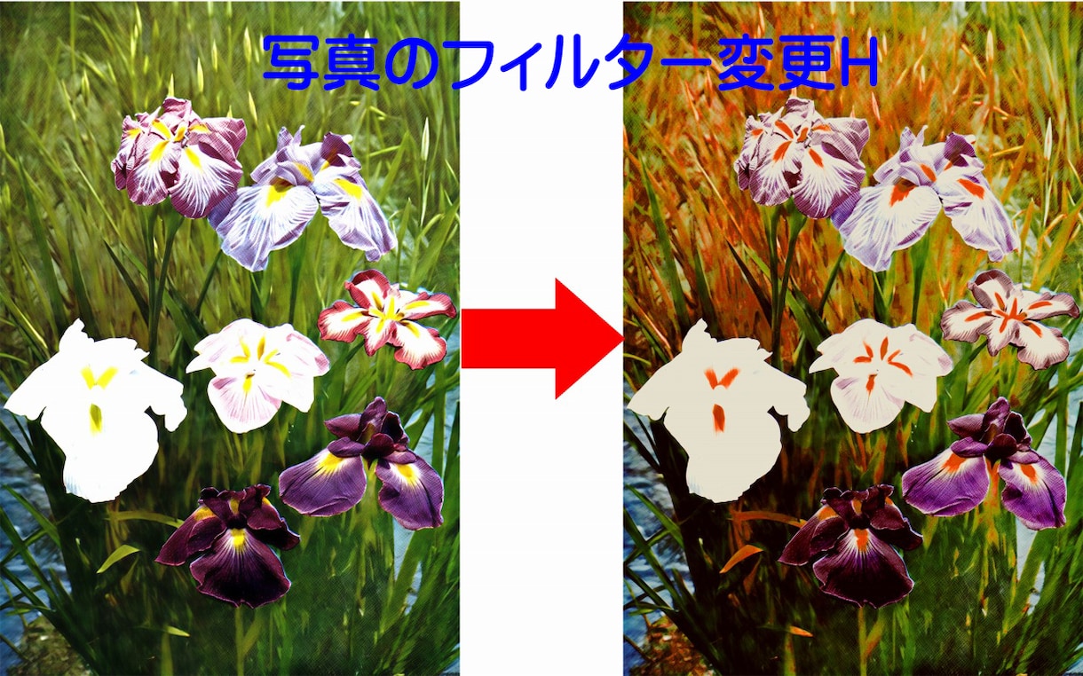 ピントが合わずにぼやけた写真を鮮明に修正します 指定の部分の修正も可能です。OP:BIGサイズ対応 イメージ7