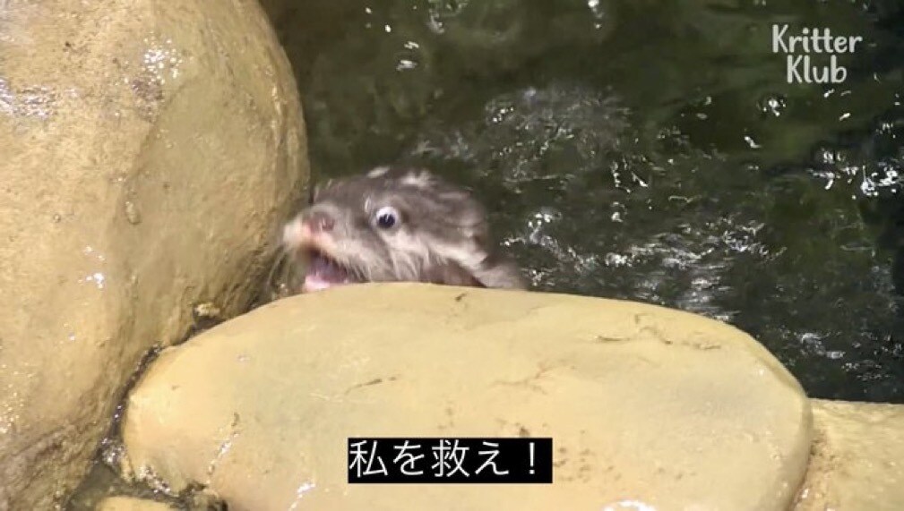 お悩みお聞きします 心のお悩み、お聞きします。どんな相談でも大丈夫です。 イメージ1