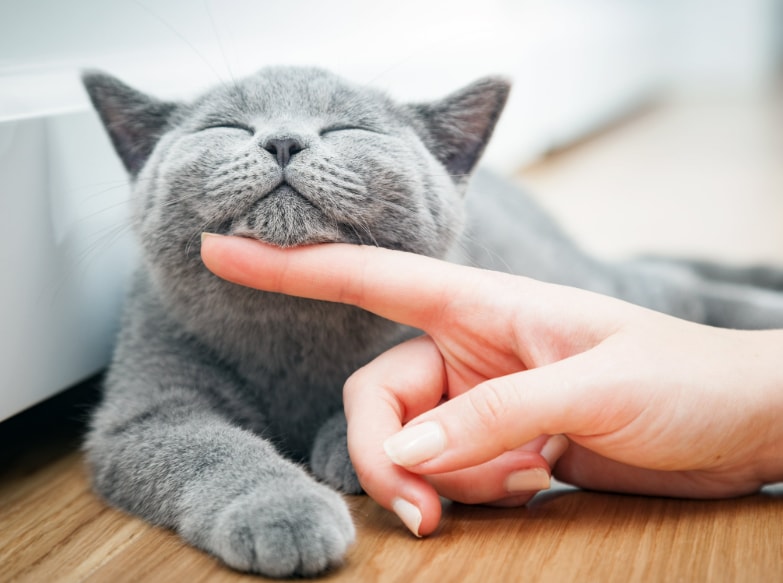 3分だけでも、あなたの話聞きます じっくり傾聴します。忙しいあなたの息抜きにお話し聞かせてね イメージ4