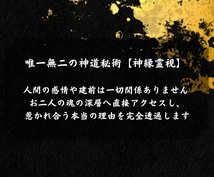 即日鑑定｜不倫・浮気などの複雑な関係を視ます 【5000字越えの本格霊視鑑定】あなたの悩みを根本から紐解く イメージ4
