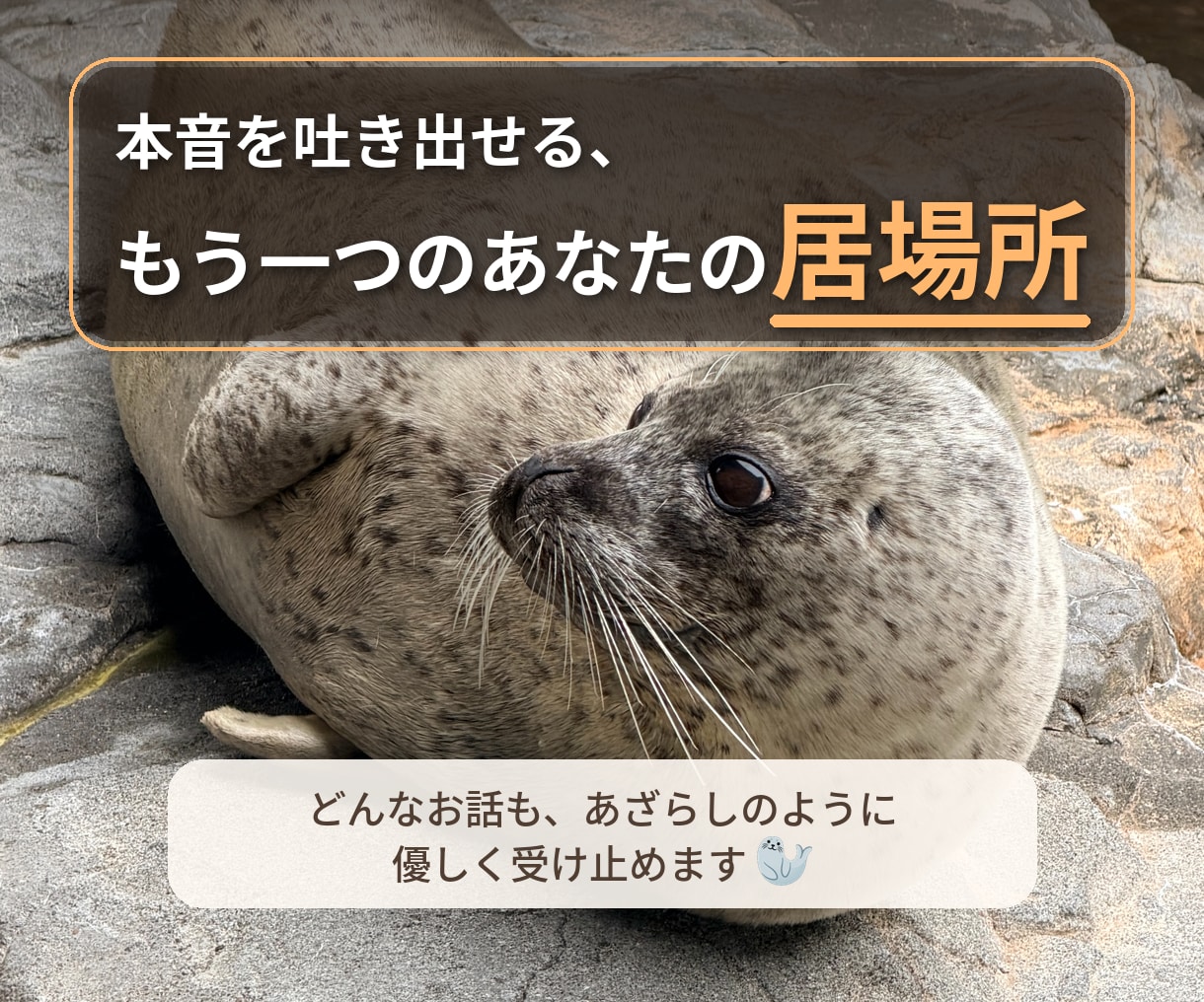 ふと話したい時。お話好きのあざらしがいます ちょっと疲れて元気が欲しい時。ありのままの自分で話せる。 イメージ3