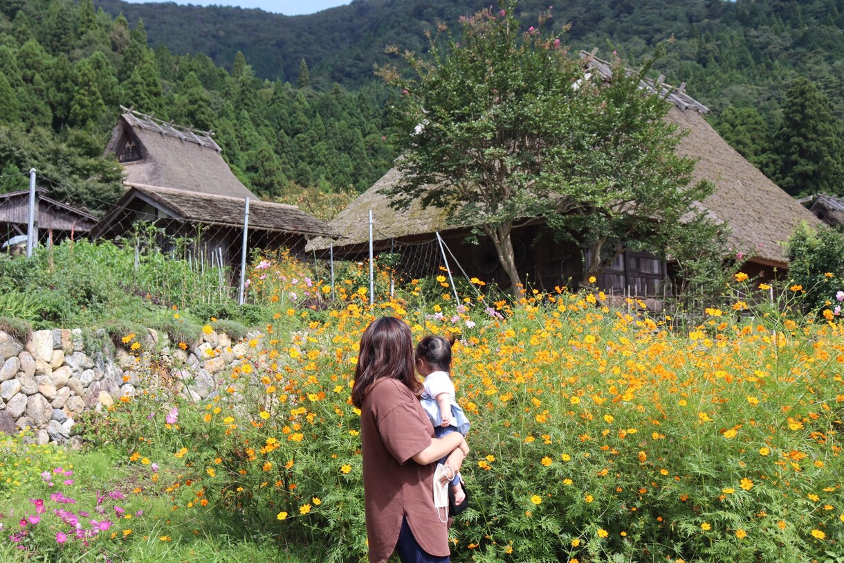 子連れの国内旅行のプラン考えます ◾️子連れ以外のプランも大歓迎！ イメージ1