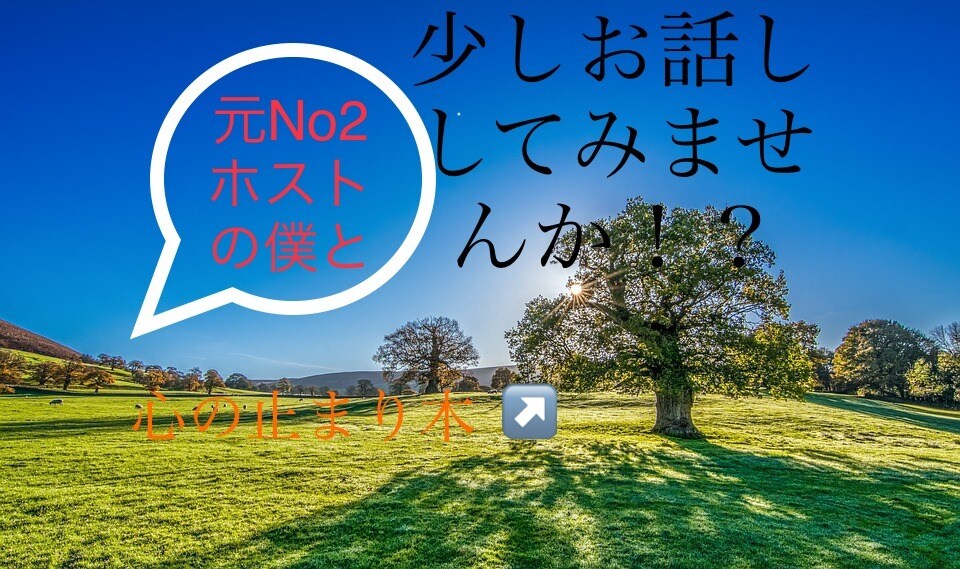 元No2ホストが恋愛、日常、お話し相手いたします 寝る前のひととき、穏やかな時間を演出します！お話ししましょ！ イメージ1