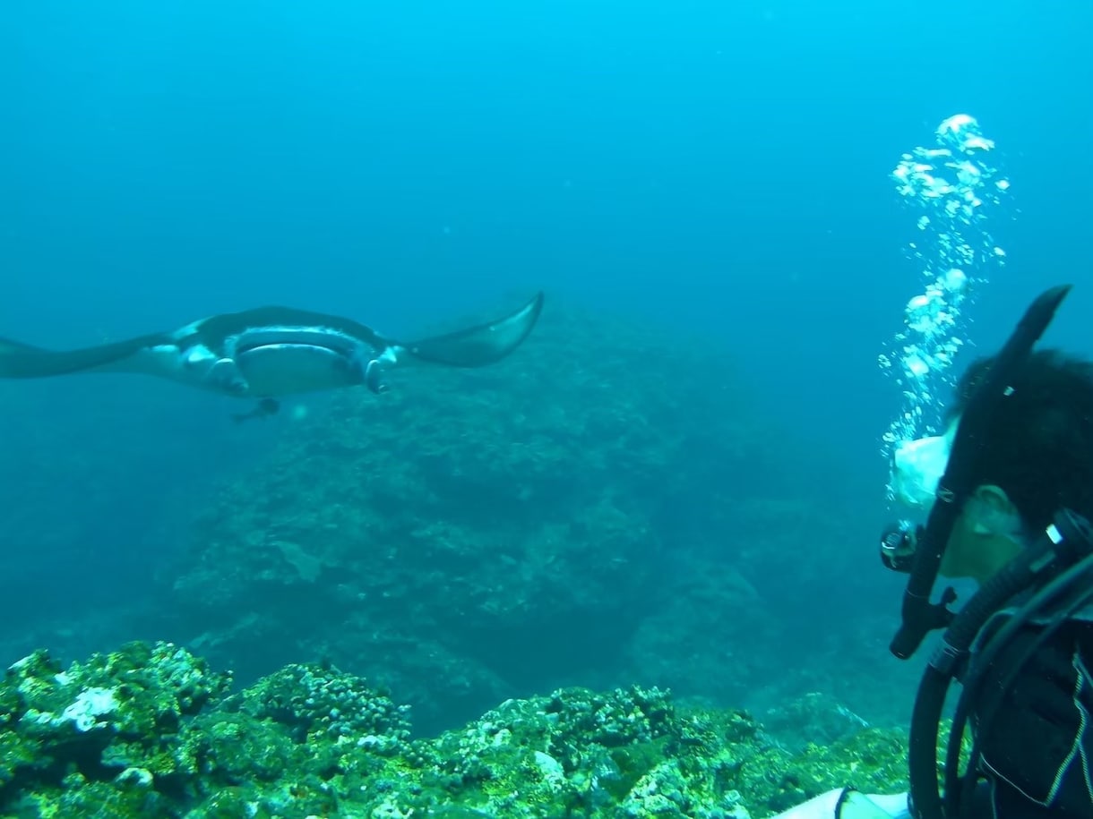 あなただけの特別な石垣島旅行を提案します 毎年石垣島旅行する私がベストプランをご提案します。 イメージ2