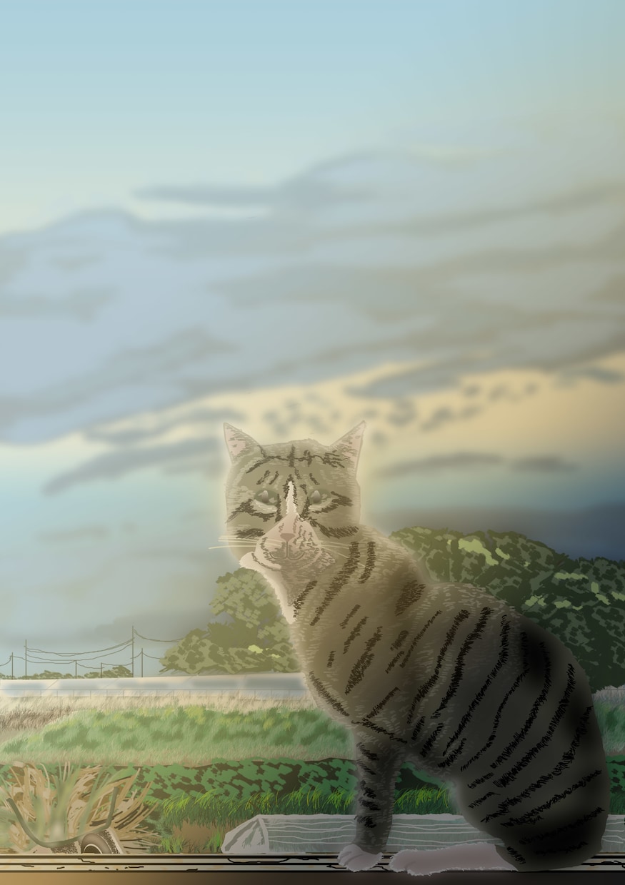 猫の写真を元にイラストを描きます アイコン・表示・プレゼントなど イメージ5