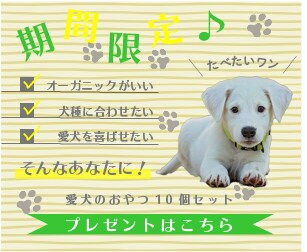 おしゃれ・ナチュラル・かわいいバナー作成致します 現役デザイナーが作ります☆バナー/ヘッダーお任せください！ イメージ4
