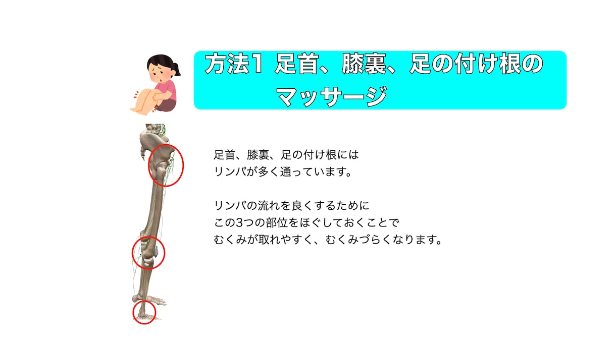 筋、骨、関節をもとに身体の仕組みや動き方を教えます 身体に関わるお仕事をされる方、医療系学生向け！ イメージ4