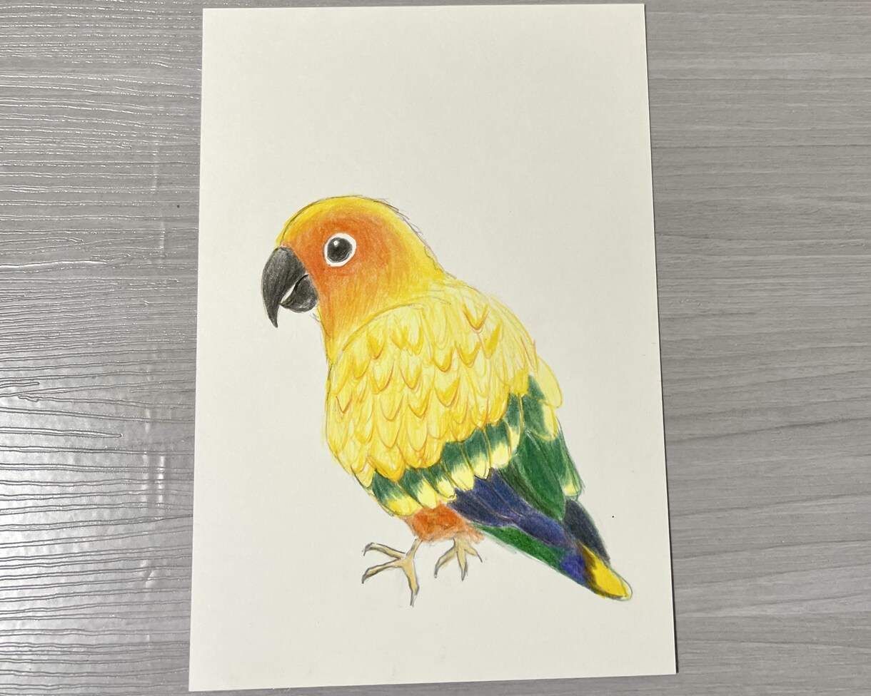 ペットのイラストを描きます あなたの大事なペットの写真を色鉛筆で描きます イメージ9