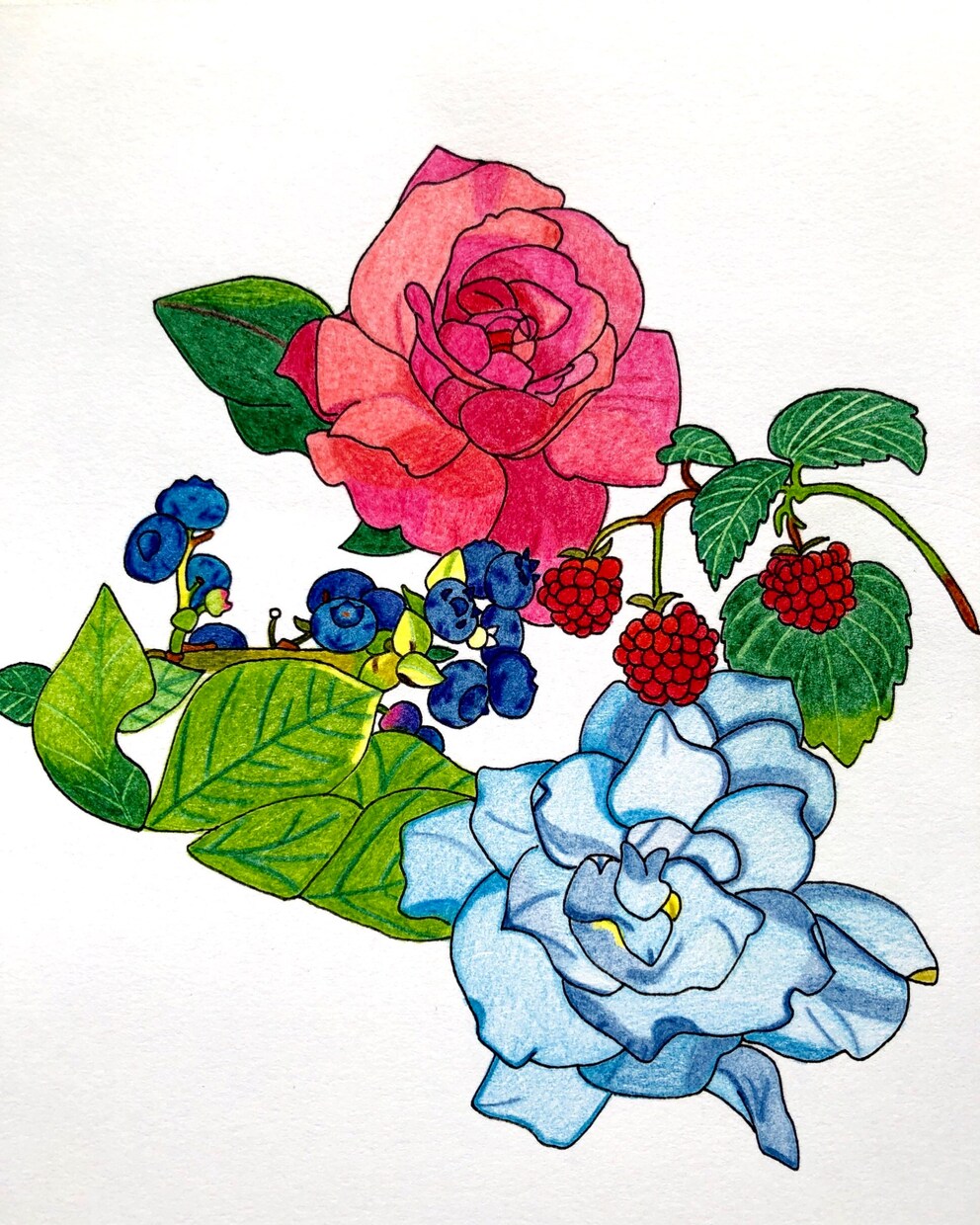 色鉛筆を使って手書きのデザインを作成致します 植物、果物、野菜のデザインが得意です イメージ4