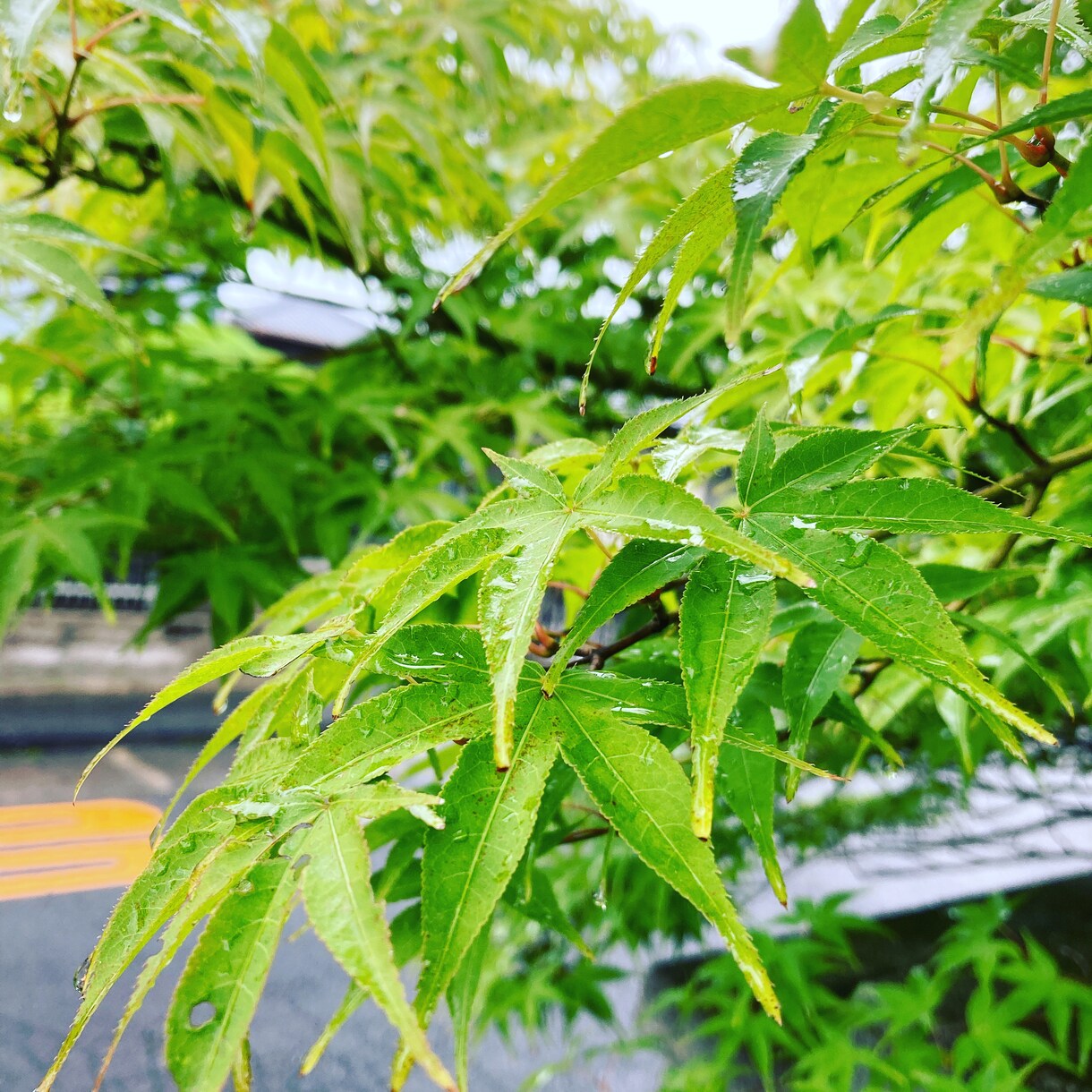 台詞のリクエストをデータにしてお渡しします リクエストにお応えしたセリフをボイスにしてお渡しします。 イメージ2