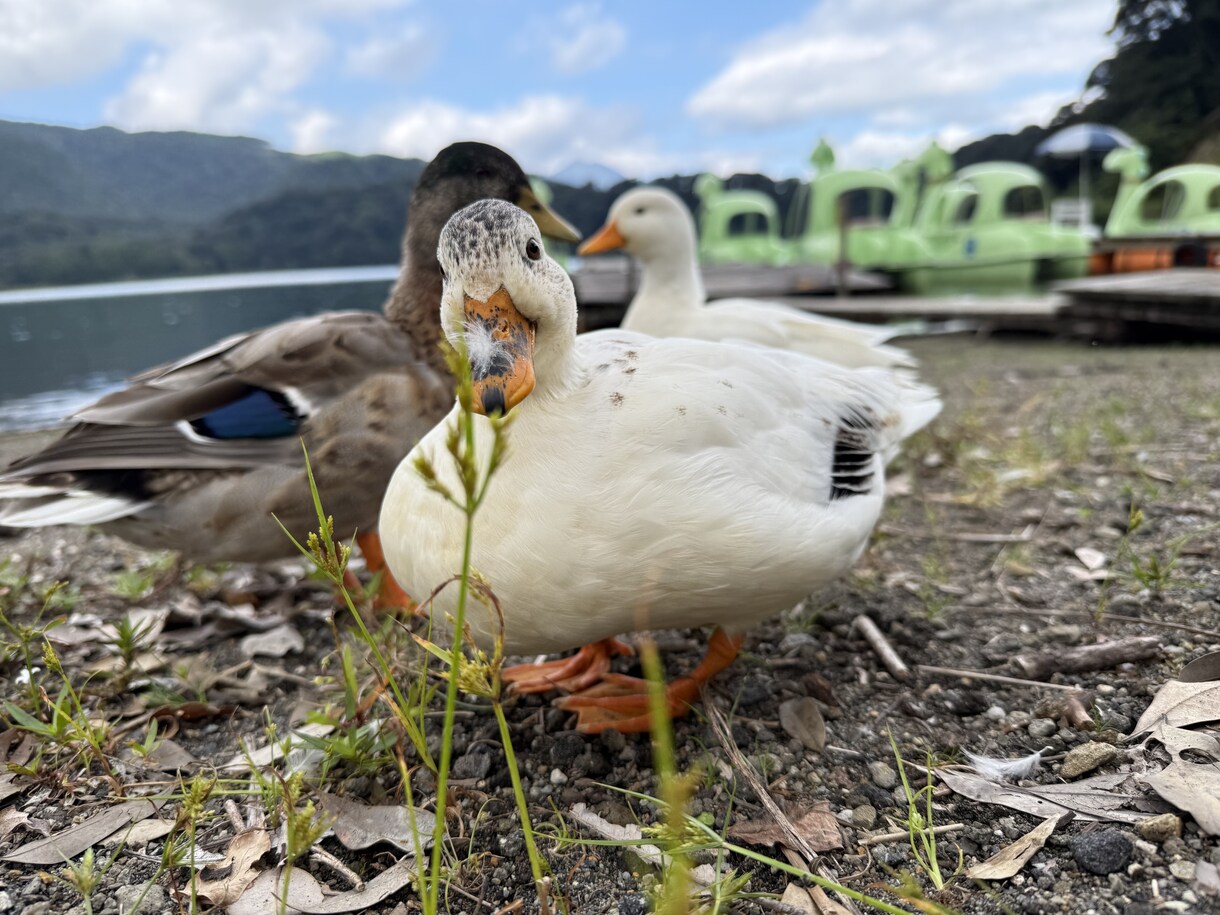 恋愛の“モヤモヤ”を一緒に整理します もう1人で抱え込まなくて大丈夫です！ イメージ1