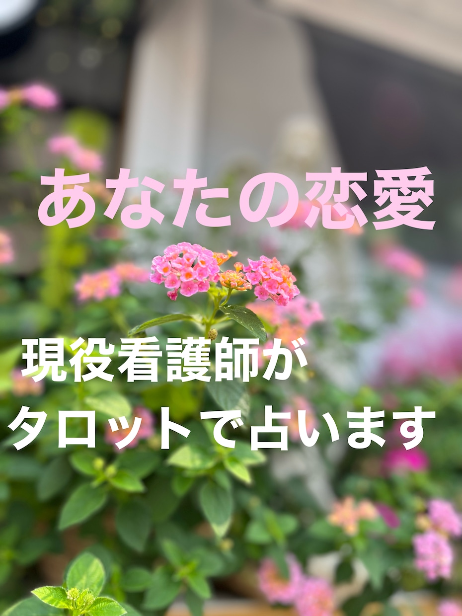 現役看護師。相手の気持ちを知りたい方鑑定します 今の状況を知りたい方に。お試し価格！ イメージ1