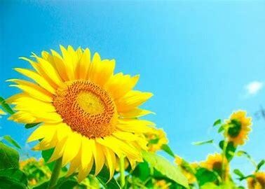 貴方を自分の子供だと想ってやんわ～りと「叱り」ます 叱られるということは、あなたにとっての心と行動の羅針盤です。 イメージ10